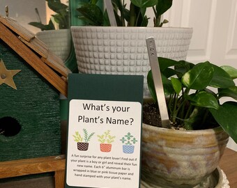 What’s your plant’s name, plant mom, indoor plant decor, surprise, gardening gift