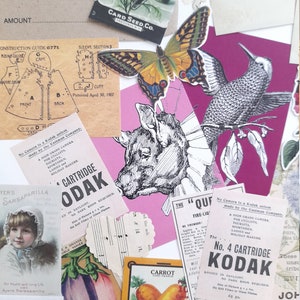 May include: A collage of vintage ephemera, including a butterfly, a hummingbird, a pig, a carrot, a flower, and a music sheet. The collage is on a pink background with a white border. The text on the ephemera includes "No Camera is a Kodak unless made by the Eastman Company." and "The 'Quaker' Fire-Light".