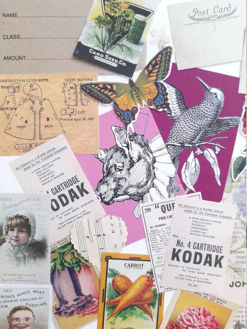May include: A collage of vintage ephemera, including a butterfly, a hummingbird, a pig, a carrot, a flower, and a music sheet. The collage is on a pink background with a white border. The text on the ephemera includes "No Camera is a Kodak unless made by the Eastman Company." and "The 'Quaker' Fire-Light".