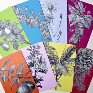 Printed Journal cards: 8 with old botanical designs and 8  with random  designs, note cards, journaling cards, planner stationery