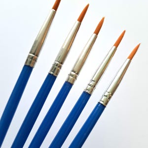 May include: Five paint brushes with blue handles, silver ferrules, and orange bristles are arranged diagonally against a white background. The brushes are of varying sizes, with the bristles pointing upwards. The image is well-lit and the brushes are in sharp focus.