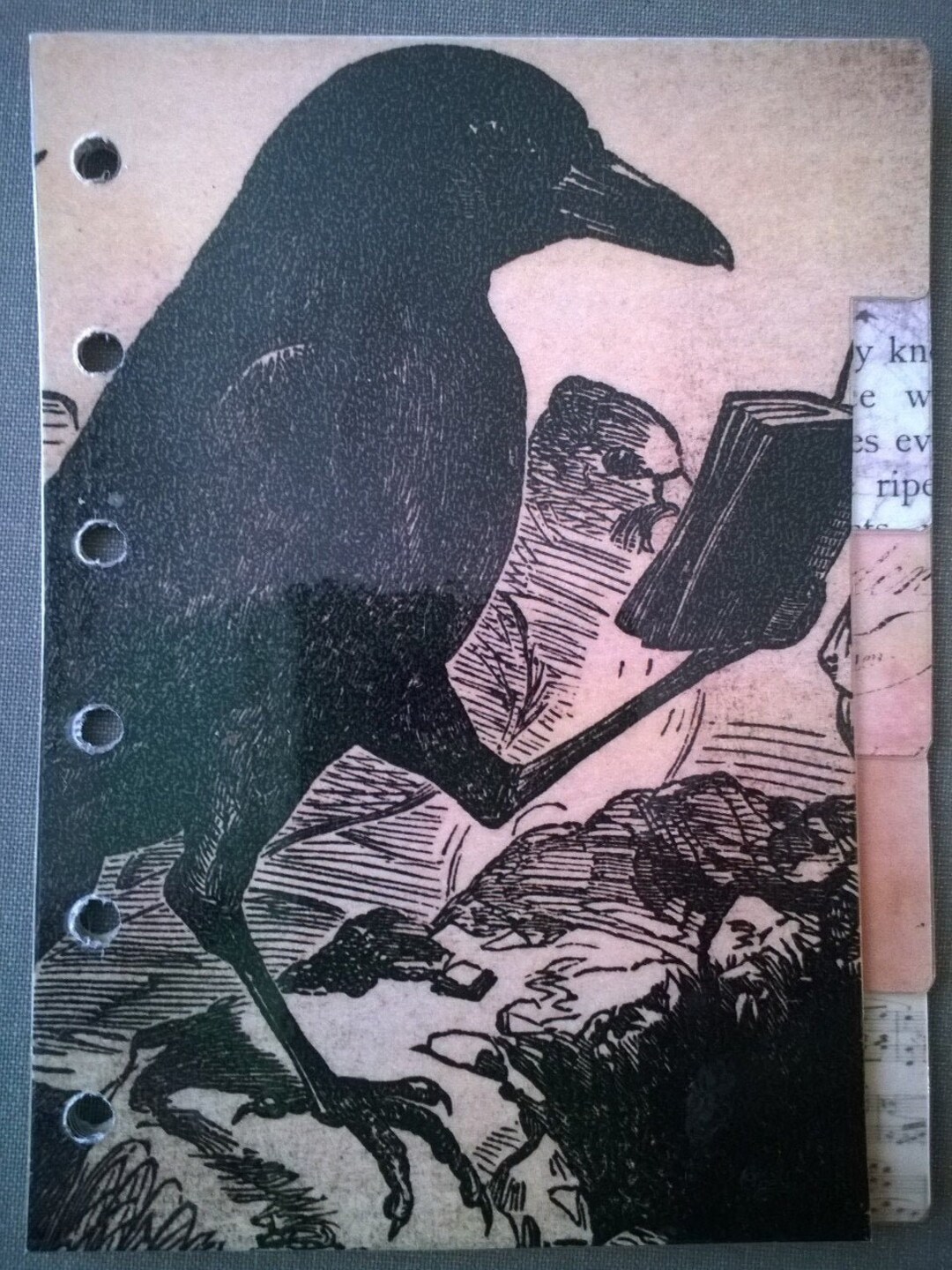 Set of 6 Dividers With a Bird Theme, for Filofax/personal Organisers ...