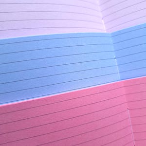 以下が含まれることがあります： パステルカラーのラベンダー、ブルー、ピンクの3つのセクションに分かれた罫線入りのノートのクローズアップ。ページが開かれており、書き込み用の水平線が内側に表示されています。