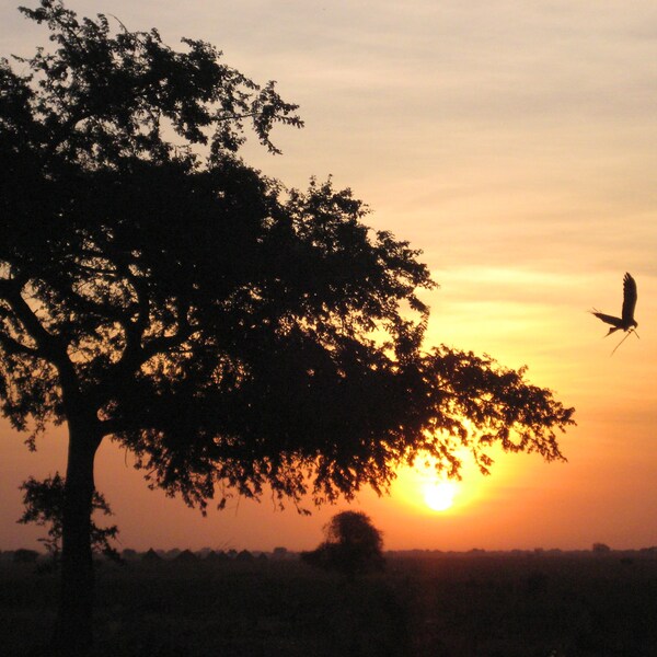 Title: "Hope Rising" Fine Art Photograph of the sunrise in South Sudan