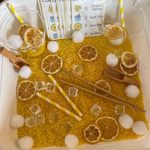 Lemonade Stand Sensory Bin | Sensory Bin | Preschool Summer Game | Homeschool Learning | Counting Preschool Games | Real Lemons | Drink