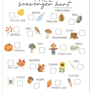 May include: A white paper with a fall scavenger hunt checklist. The text "FALL scavenger hunt" is at the top. The checklist includes illustrations of a yellow leaf, berries, a pumpkin, a red leaf, a spider, water, a bird, mushrooms, a tree, a squirrel, a flower, a pinecone, a rock, a stump, grass, a scarecrow, a twig, an acorn, an orange leaf, and a feather.