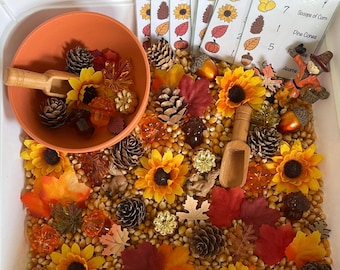 Caja sensorial de la cosecha de otoño: juego de conteo para preescolares con hojas y piñas.