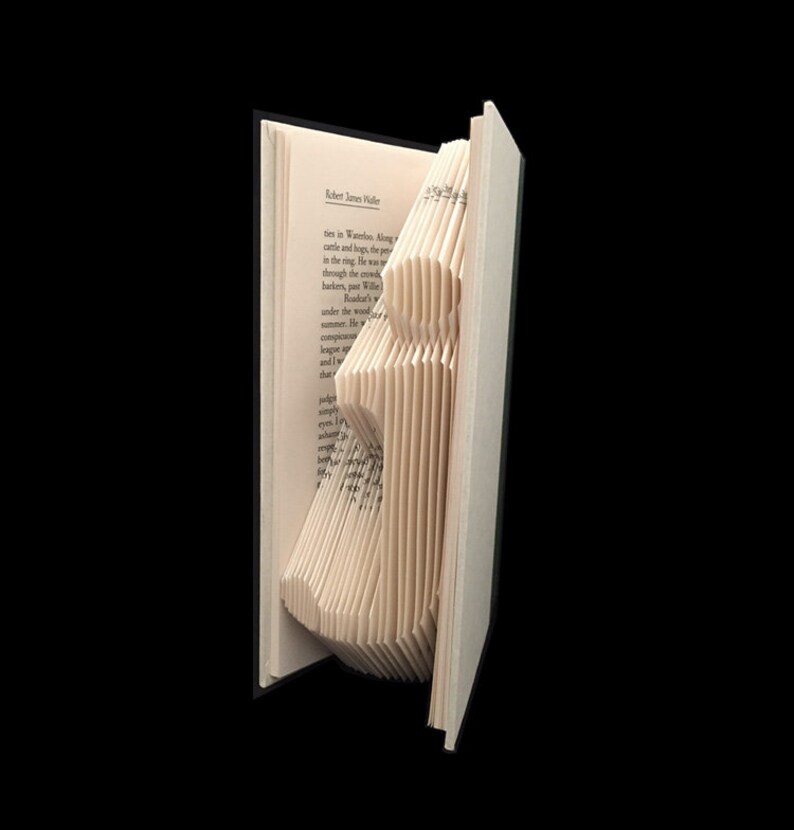 j Lowercase J Monograms Folded-Book Art Sculpture image 2