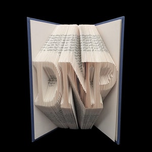 DNP Doctorate of Nursing Practice Graduation Gift Medical 3 Letters Folded-Book Art Sculpture Unique Gift Customize Gift image 1