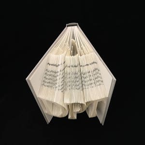 DNP Doctorate of Nursing Practice Graduation Gift Medical 3 Letters Folded-Book Art Sculpture Unique Gift Customize Gift image 8