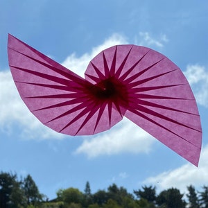 May include: A pink paper spiral, folded into a shape resembling a seashell, against a blue sky background.