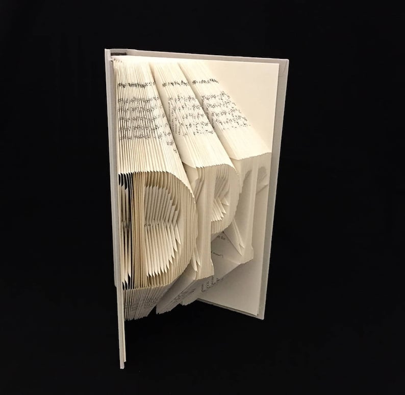 DNP Doctorate of Nursing Practice Graduation Gift Medical 3 Letters Folded-Book Art Sculpture Unique Gift Customize Gift image 7