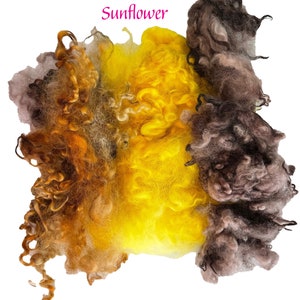 May include: A pile of colorful wool roving in shades of brown, yellow, and gray. The roving is arranged in a loose, fluffy pile, and the colors blend together seamlessly. The text "Sunflower" is written in pink above the roving.