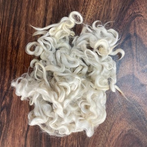 May include: A close-up of a pile of white wool fibers. The wool is soft and fluffy, and it appears to be natural.