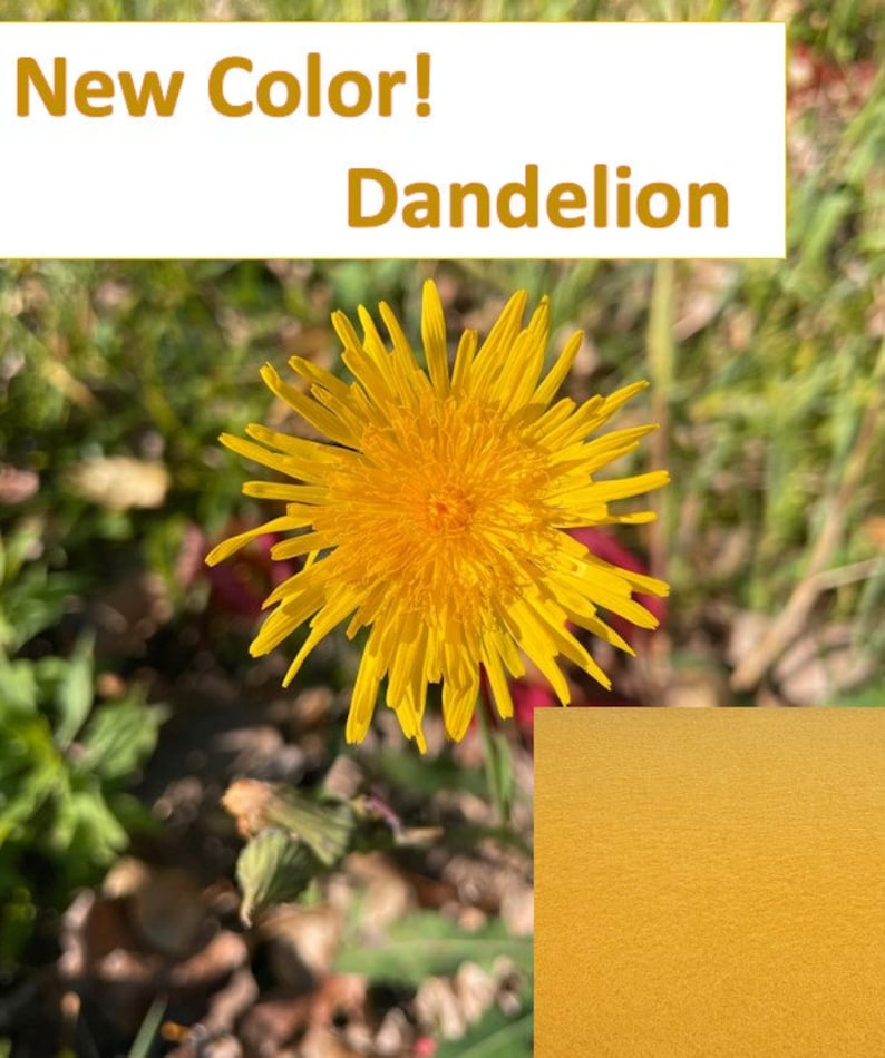 May include: A close-up of a bright yellow dandelion flower with a yellow background. The text "New Color! Dandelion" is at the top of the image.