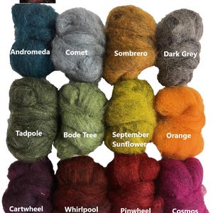 May include: A collection of colorful wool slivers, each labeled with a unique name. The colors range from deep teal and gray to vibrant orange and magenta. The text "Supernova Wool Sliver Colors" is at the top.