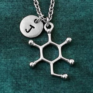 Glucose Molecule Necklace SMALL Glucose Charm Necklace Sugar Molecule Jewelry Chemistry Jewelry Science Jewelry Chemist Gift Biochemistry