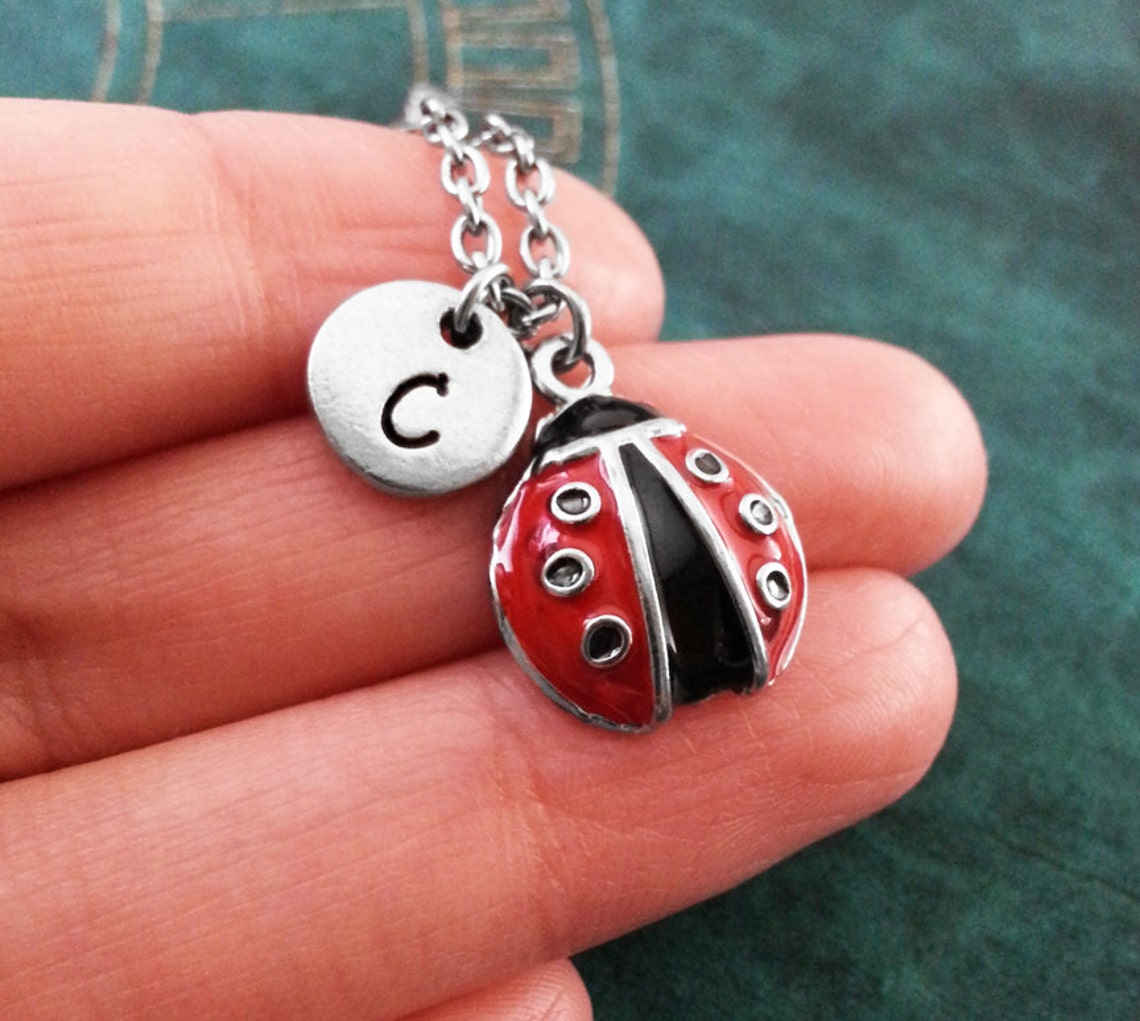 Ladybug Necklace SMALL Red Lady Bug Necklace Personalized Etsy