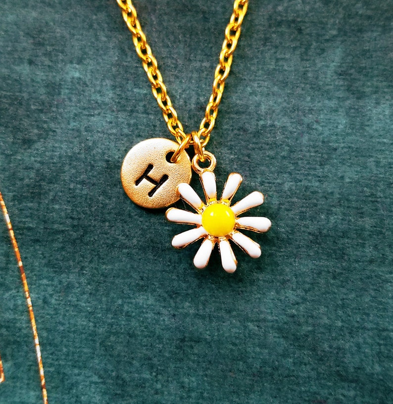 Pu&ograve; includere: Una collana con catena dorata con un piccolo ciondolo dorato con la lettera "H" e una margherita bianca con un centro giallo.