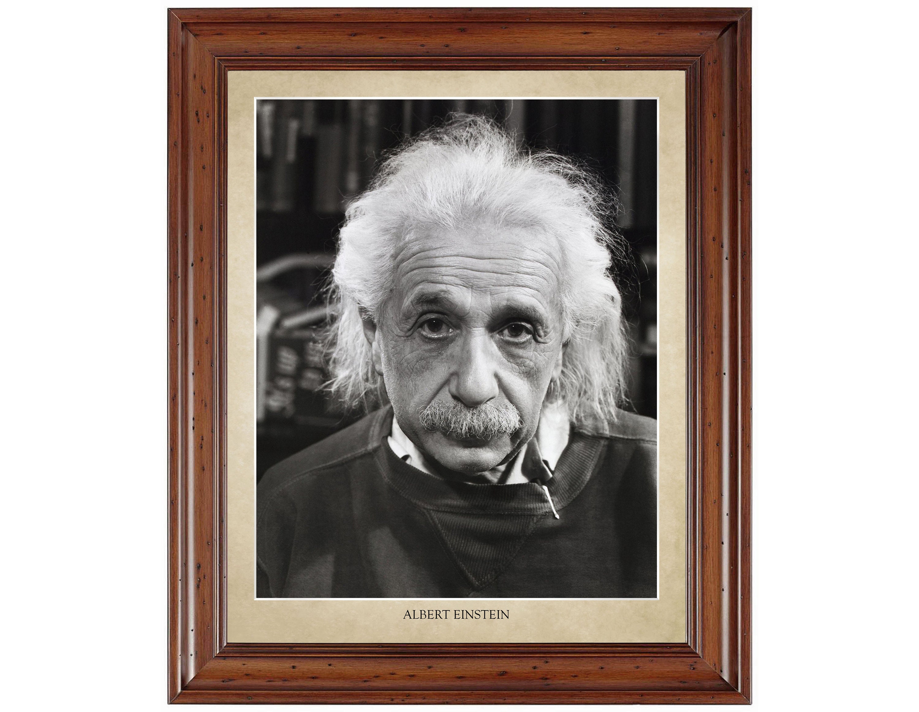 Albert Einstein Portrait; 18x24