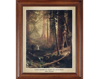 Giant Redwood Trees of California by Albert Bierstadt (1874); 18x24" print displaying the artist's name (does not include frame)