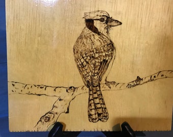 Wood Burning of a Blue Jay