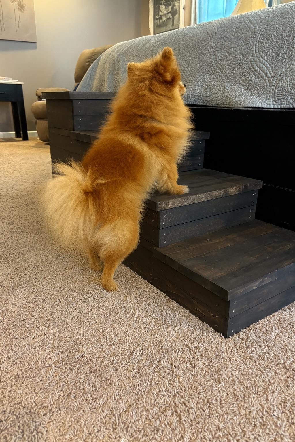 Vierstufige Haustiertreppe aus Holz - rustikaler Tritthocker für Haustiere & Kinder