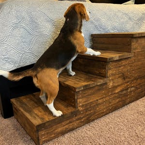 May include: A wooden pet step with three steps, stained a dark brown. A tri-color Beagle dog is using the steps to climb onto a bed. The steps are made of wood and are designed to help pets reach higher surfaces.