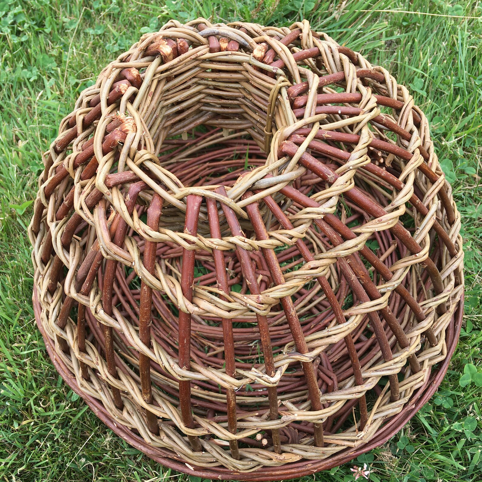 Small Lobster Pot Etsy