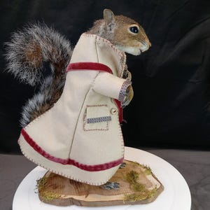 Anthropomorphes präpariertes Eichhörnchen, bekleidet mit einer Reitjacke aus dem 17ten Jahrhundert, und einer Filz-Tasche. Auf Kirschholz-Sockel montiert.