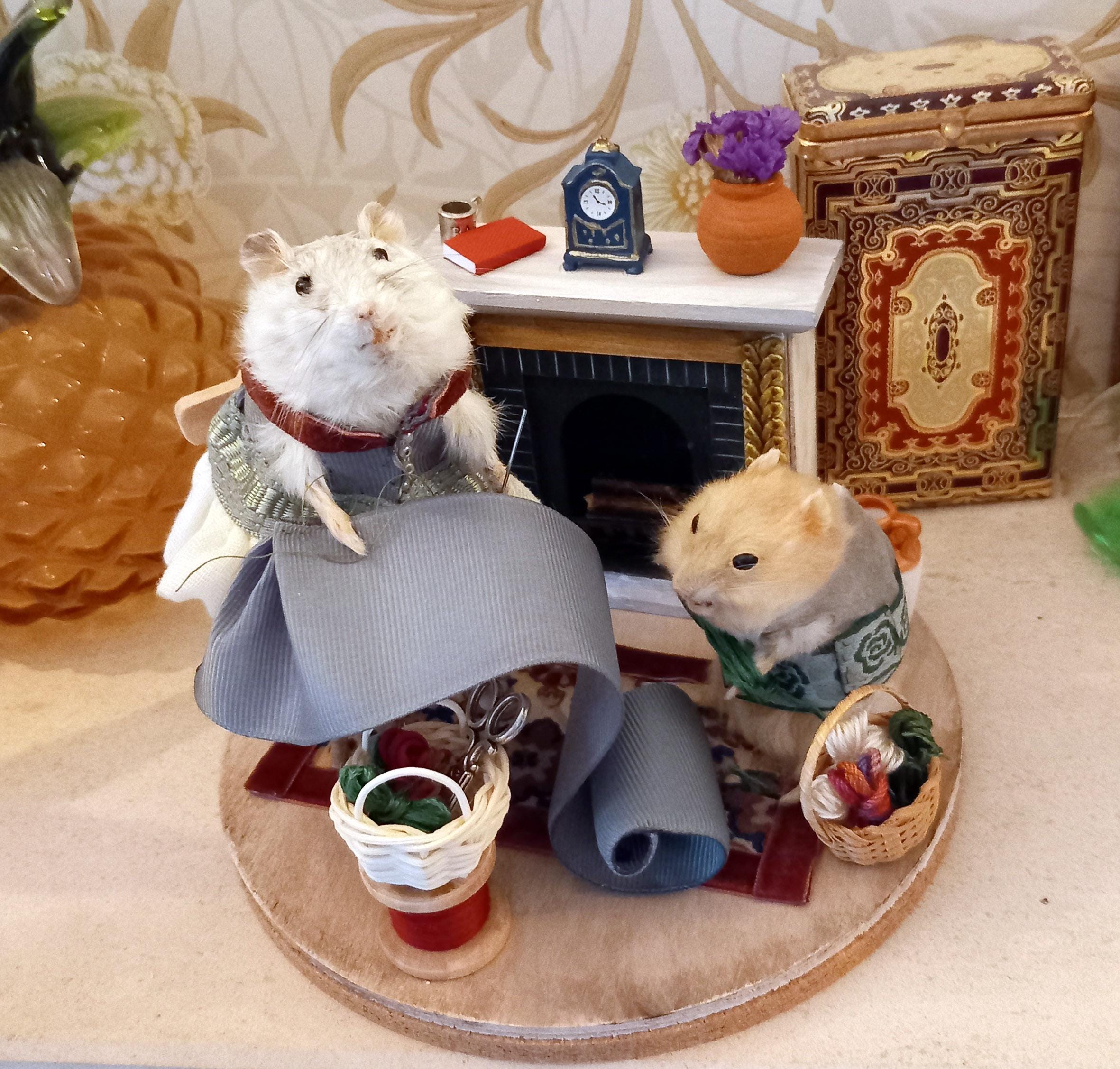 Taxidermy Hamster - Etsy Singapore