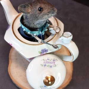 Könnte beinhalten: Ein skurriles Dekorationsstück mit einer ausgestopften Maus in einer floral dekorierten Teekanne. Die Maus trägt einen blauen Kragen und hält eine winzige Teetasse und einen Löffel. Auf dem Teekannendeckel steht "Januar".