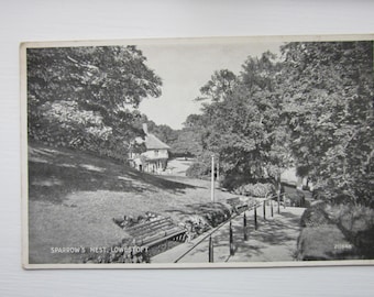 Postcard, Horse, Shoe Bend, Chaddar Gorge, United Kingdom, Real Photo RPPC Postcard, Genuine, Original.