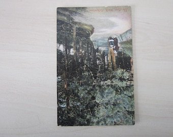 Postcard, The Pine Walk, Folkestone, Kent, United Kingdom. Genuine, Original.