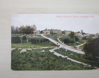 Postcard, Mount Ephralm, Royal Tunbridge Wells, United Kingdom, Genuine, Original.