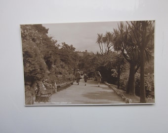 Postcard, Rock Walk, Torquay, United Kingdom, Genuine, Original