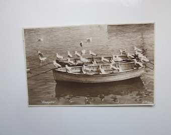 Postcard, Seagulls, Real Photo RPPC Postcard, Genuine, Original.
