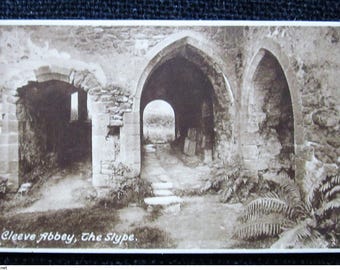 Postally Old Unposted Printed Topographical Postcard, Cleeve Abbey, The Slype, Somerset, England, Great Britain, UK. Frith's series