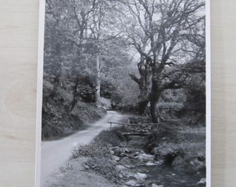 In Horner Valley (50), REAL PHOTO (RPPC) Postcard, Genuine, Original.
