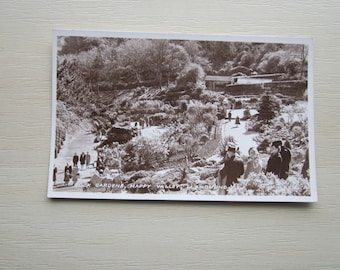Rock Gardens, Happy Valley, Llandudno, Wales, UK. REAL PHOTO Postcard. Genuine, Original, Unused.