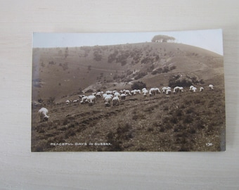 Vintage Postcard, Peaceful Days In Sussex, Used, Genuine, Original.