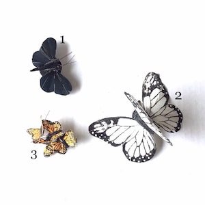 Kleurrijke vlinderclips voor alle gelegenheden, haaraccessoires voor volwassen vrouwen en jonge meisjes, clips voor kleding en haar