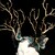 Ram Horn Skull Pagan Viking Ritual Skull Witchcraft Skull Deer Antler ...