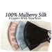 Mulberry Silk Mask 4 layers Nose wire 100% SILK Mask Women's LUXURY SILK satin Face Mask Blush Pink Satin Mask More Colors 