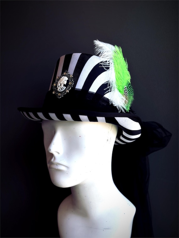 Top Hat Unisex Beetle Hat Black White Striped Hat Green  display picture 1