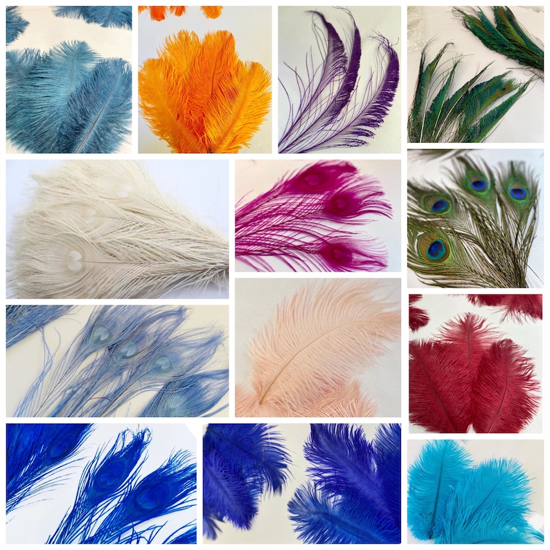 May include: Assortment of colorful ostrich and peacock feathers. The feathers are arranged in rows and include colors such as blue, orange, pink, purple, red, and green.