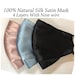 see more listings in the SILK Fabric Face Mask section