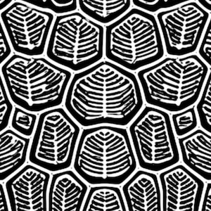 May include: A repeating pattern featuring black and white graphic shapes that resemble a stylized turtle shell. Each individual segment is outlined in thick black lines and contains a white, leaf-like skeletal structure with branching veins.