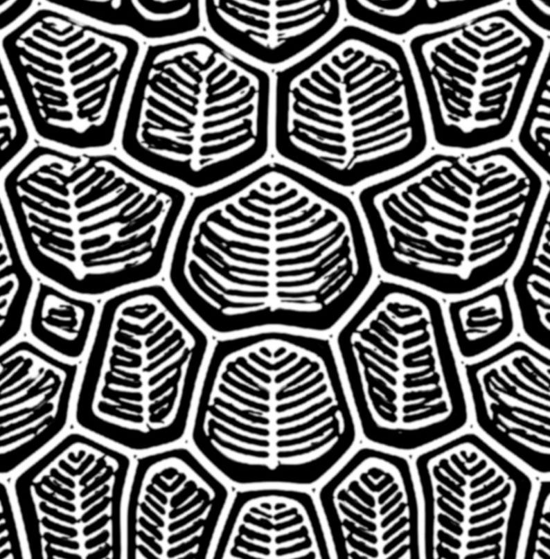 May include: A repeating pattern featuring black and white graphic shapes that resemble a stylized turtle shell. Each individual segment is outlined in thick black lines and contains a white, leaf-like skeletal structure with branching veins.