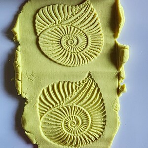 May include: A bright pink cylindrical rolling pin with a deep-set ammonite fossil pattern, shown pressing two identical, detailed spiral shell impressions into a flat, rectangular piece of pale yellow modeling clay or dough.